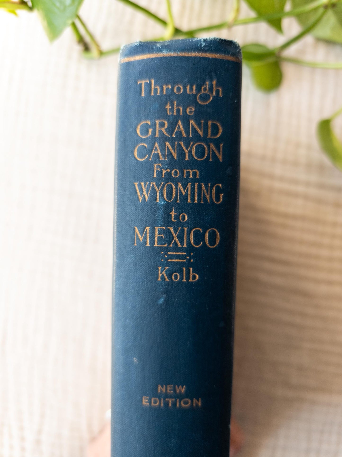 Through the Grand Canyon from Wyoming to Mexico - illustrated antique Western book