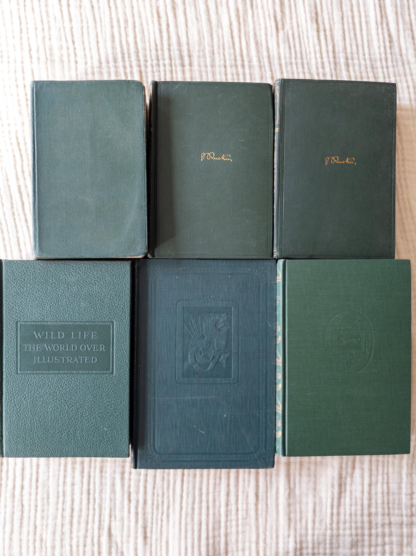 Green & Turquoise Vintage Book Bundle (Set of 6)