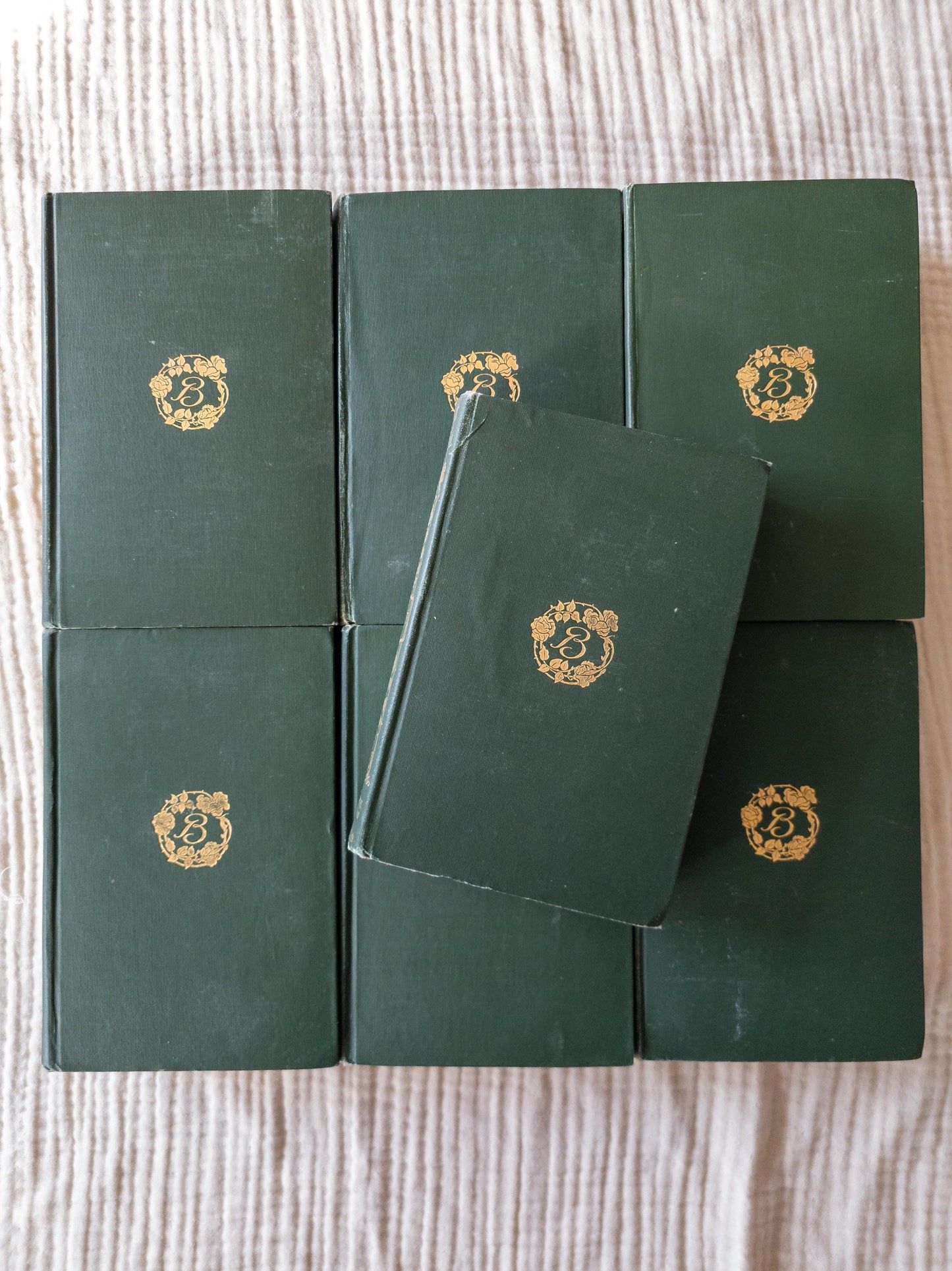 1899-1900 Bronte Books (Set of 7)  | collectible Haworth Edition