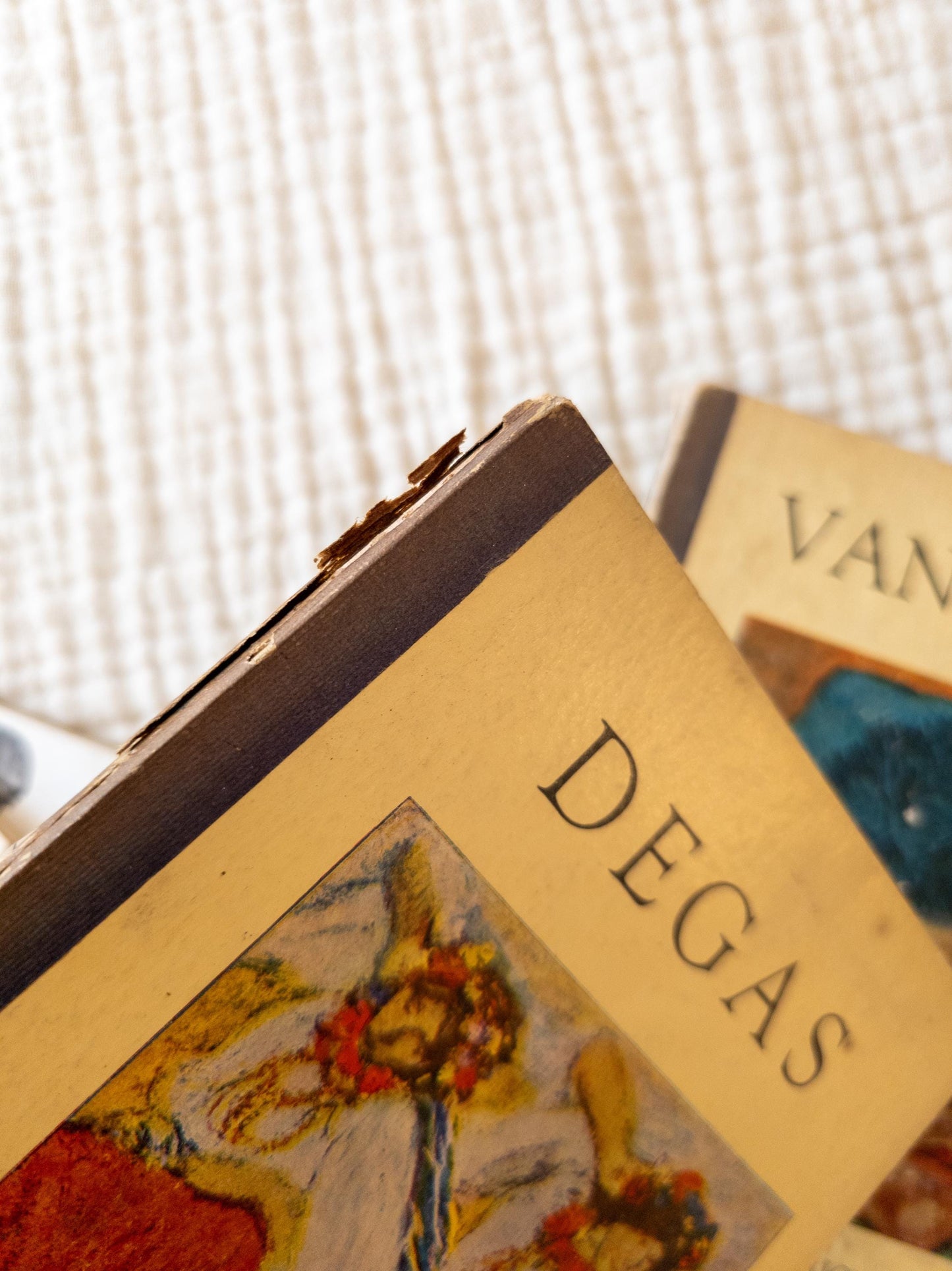 Vintage Art Books