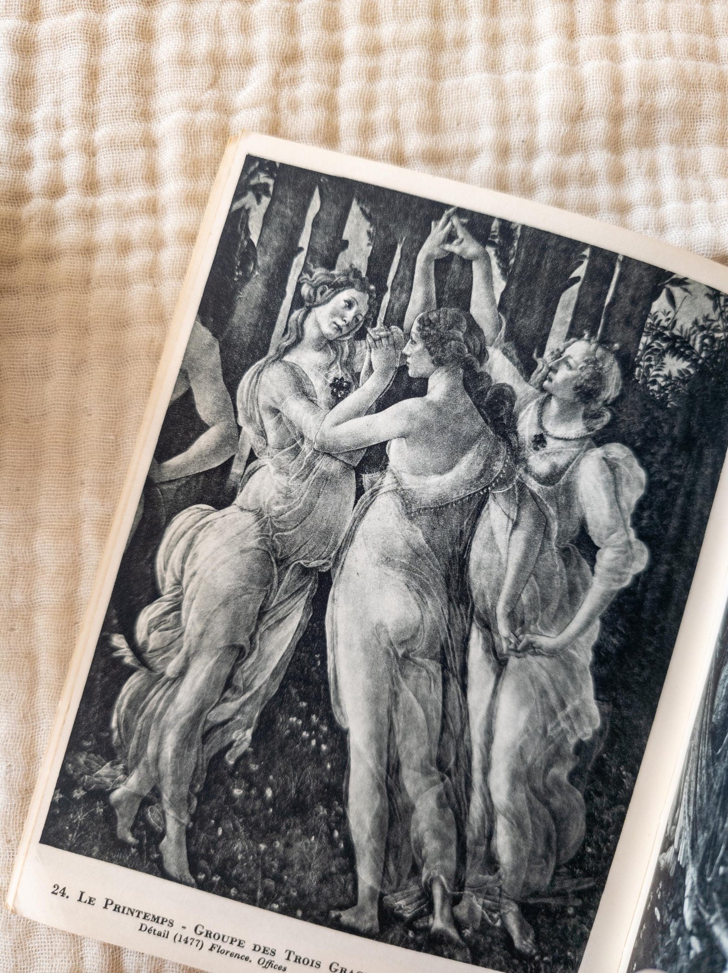 Vintage Art Books